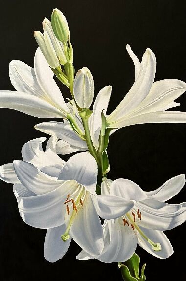 White lilies 